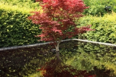 Jardins de Chaumont (1)
