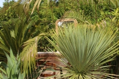 Jardins de Chaumont (10)