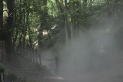 Jardins de Chaumont (11)