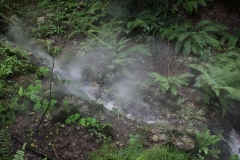 Jardins de Chaumont (12)