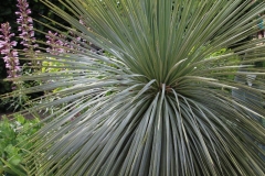 Jardins de Chaumont (5)