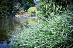 tentation invasive