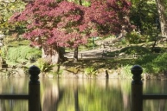 Embarcadère - Parc Maulévrier