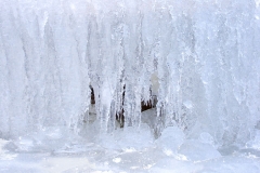 Glace 2
