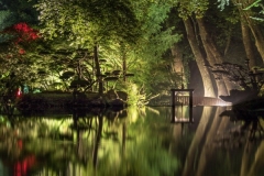 Sérénité de la nuit
