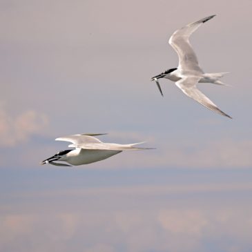 Réunion du 10 septembre 2018